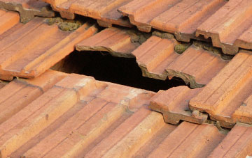 roof repair Gannetts, Dorset